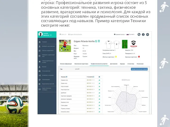 Профиль игрока: Раздел профессионального развития игрока: Профессиональное развития игрока состоит из