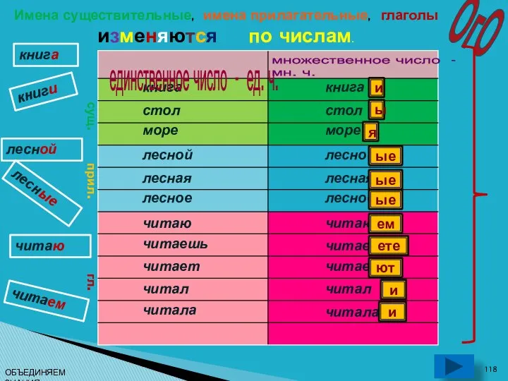 ОгО Имена существительные, имена прилагательные, глаголы изменяются по числам. книга единственное