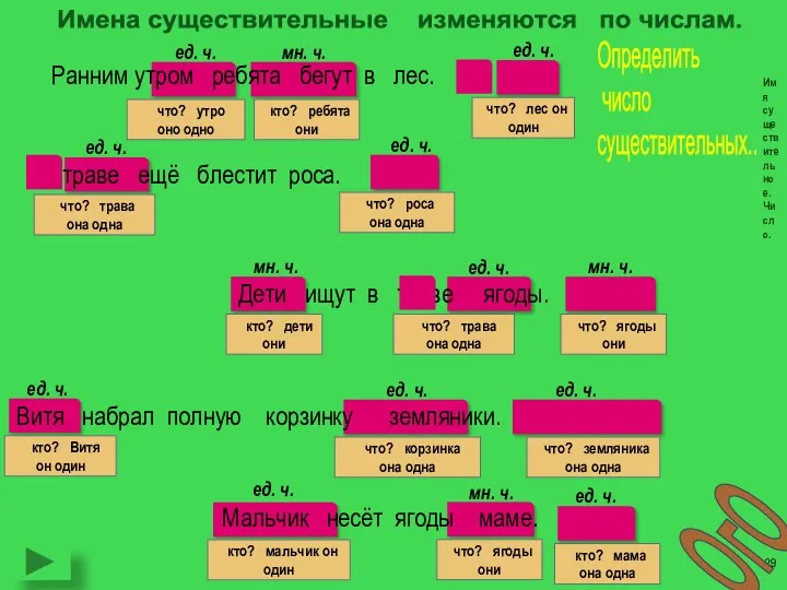 Имена существительные изменяются по числам. Имя существительное. Число. Ранним утром ребята