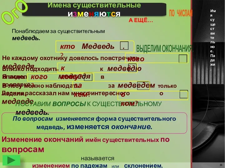 Имена существительные изменяются Имя существительное. Падежи. Понаблюдаем за существительным медведь. Медведь