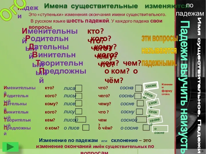 Имена существительные изменяются Имя существительное. Падежи. Изменение по падежам или склонение