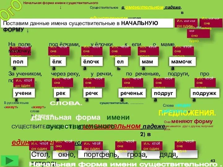 И.п. что? оно одно Стол, окно, портфель, гроза, дядя, тетрадь. СУЩЕСТВИТЕЛЬНОЕ