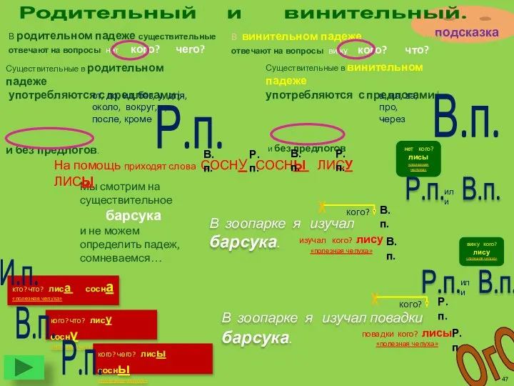 кого? что? лису сосну «полезная чепуха» кого? чего? лисы сосны «полезная