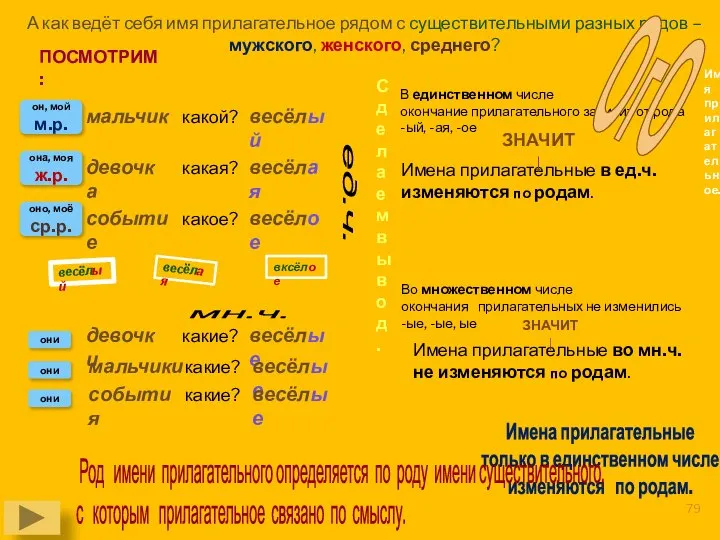 Имя прилагательное. А как ведёт себя имя прилагательное рядом с существительными