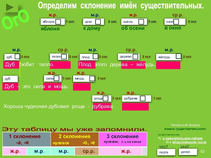 дуб тепло плод дерево жёлудь дуб сила мощь роща дубрава Определим