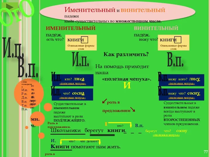 Одинаковые формы слов Одинаковые формы слов Именительный и винительный падежи имён