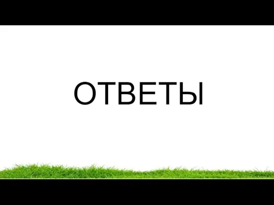 ОТВЕТЫ