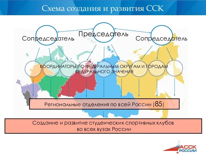 Председатель Сопредседатель Сопредседатель КООРДИНАТОРЫ ПО ФЕДЕРАЛЬНЫМ ОКРУГАМ И ГОРОДАМ ФЕДЕРАЛЬНОГО ЗНАЧЕНИЯ