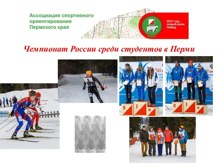 Чемпионат России среди студентов в Перми