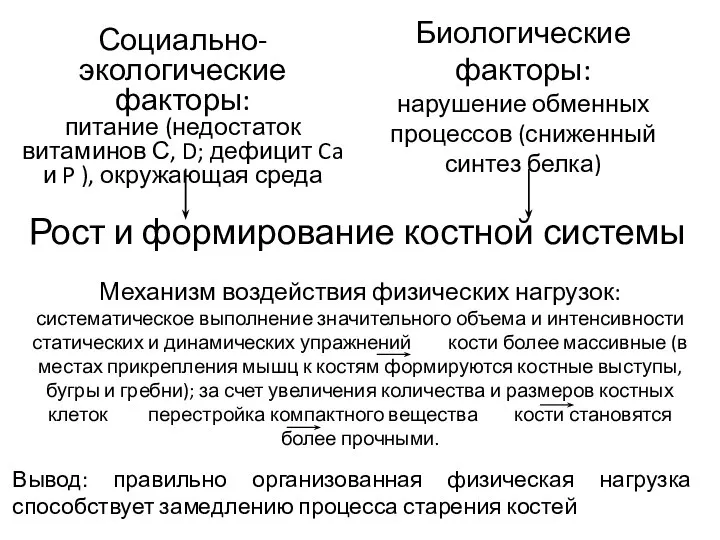 Рост и формирование костной системы Вывод: правильно организованная физическая нагрузка способствует замедлению процесса старения костей