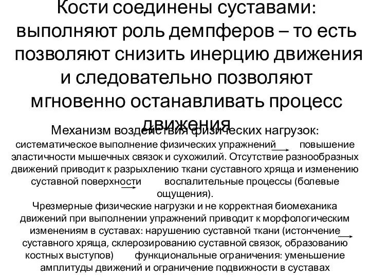 Кости соединены суставами: выполняют роль демпферов – то есть позволяют снизить