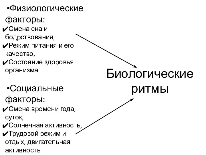 Биологические ритмы Физиологические факторы: Смена сна и бодрствования, Режим питания и