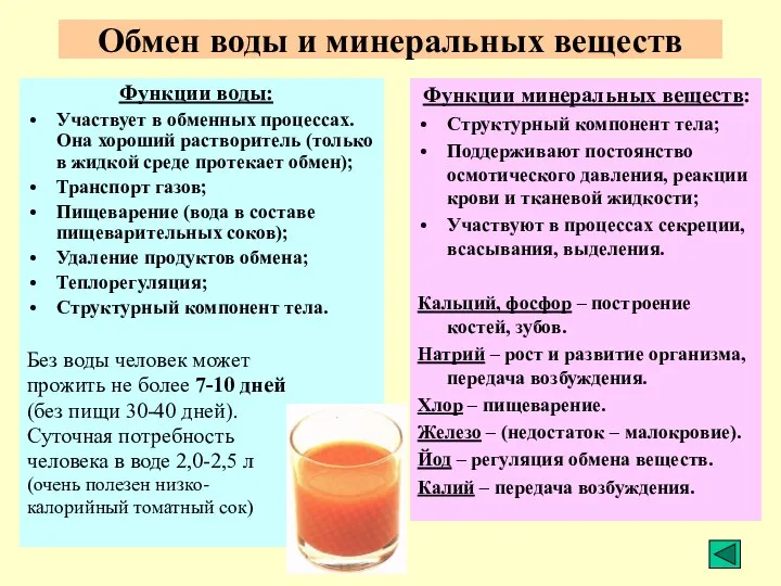 Обмен воды и минеральных веществ Функции воды: Участвует в обменных процессах.