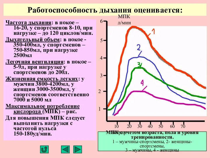 Работоспособность дыхания оценивается: Частота дыхания: в покое – 16-20, у спортсменов