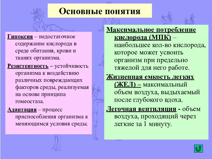 Основные понятия Гипоксия – недостаточное содержание кислорода в среде обитания, крови