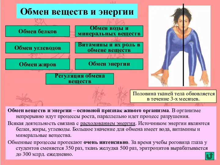 Обмен веществ и энергии Обмен веществ и энергии – основной признак