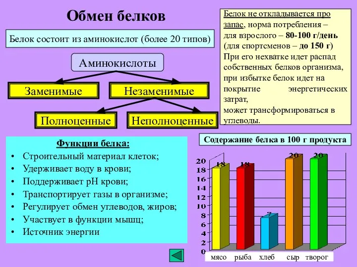 Обмен белков Функции белка: Строительный материал клеток; Удерживает воду в крови;