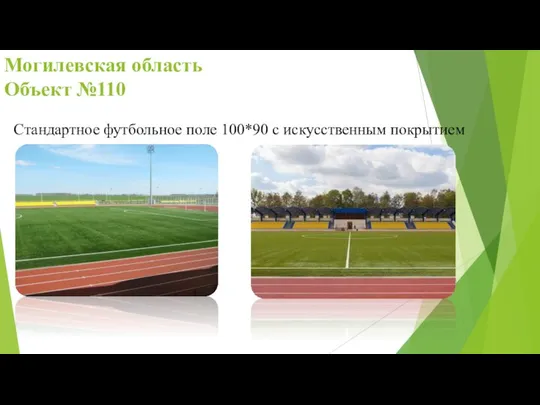 Могилевская область Объект №110 Стандартное футбольное поле 100*90 с искусственным покрытием