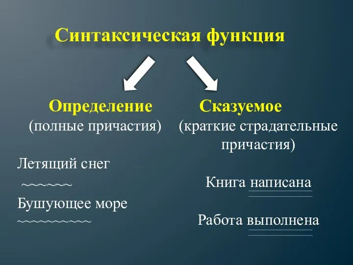 Синтаксическая функция