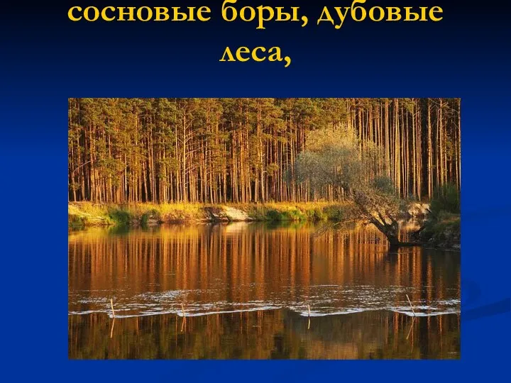 сосновые боры, дубовые леса,