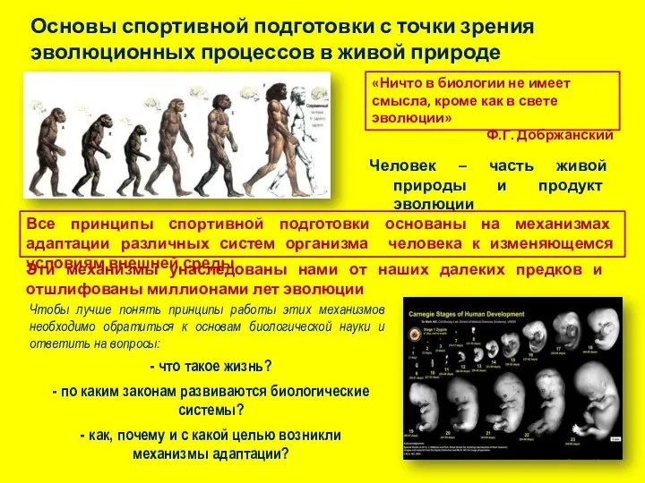 Основы спортивной подготовки с точки зрения эволюционных процессов в живой природе