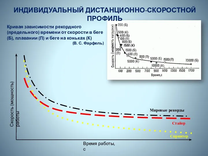 Кривая зависимости рекордного (предельного) времени от скорости в беге (Б), плавании