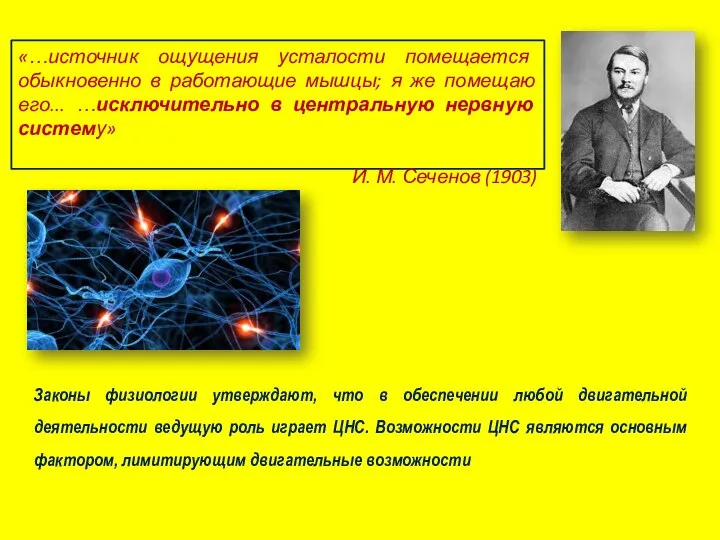 «…источник ощущения усталости помещается обыкновенно в работающие мышцы; я же помещаю