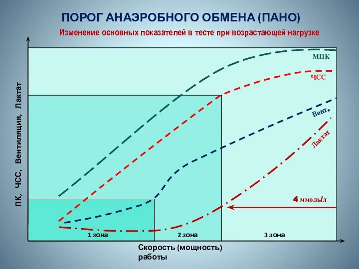 ПОРОГ АНАЭРОБНОГО ОБМЕНА (ПАНО) Изменение основных показателей в тесте при возрастающей нагрузке