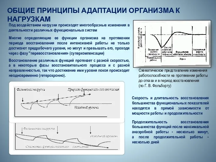 ОБЩИЕ ПРИНЦИПЫ АДАПТАЦИИ ОРГАНИЗМА К НАГРУЗКАМ Под воздействием нагрузки происходят многообразные