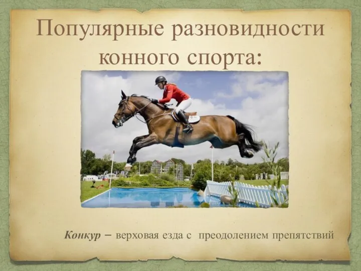 Популярные разновидности конного спорта: Конкур – верховая езда с преодолением препятствий