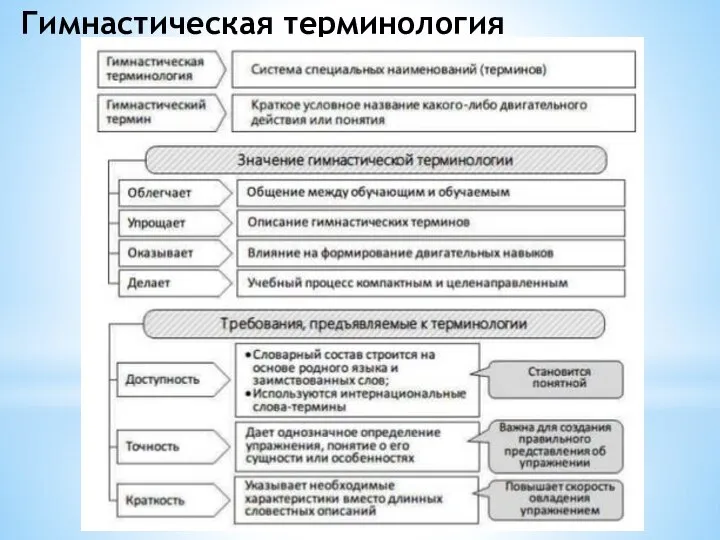 Гимнастическая терминология