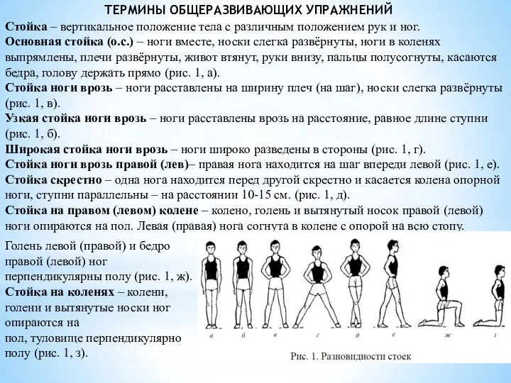 ТЕРМИНЫ ОБЩЕРАЗВИВАЮЩИХ УПРАЖНЕНИЙ Стойка – вертикальное положение тела с различным положением