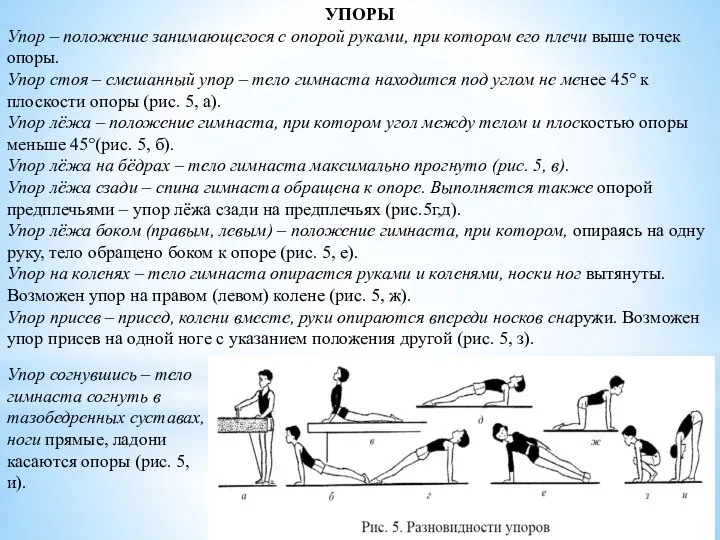 УПОРЫ Упор – положение занимающегося с опорой руками, при котором его