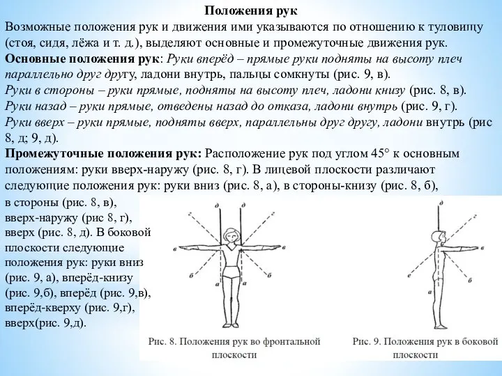 Положения рук Возможные положения рук и движения ими указываются по отношению