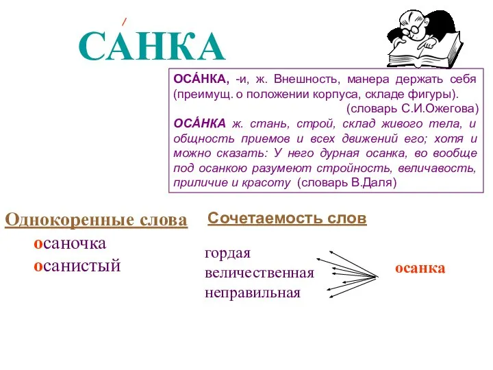 САНКА О ОСА́НКА, -и, ж. Внешность, манера держать себя (преимущ. о