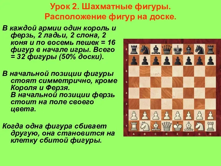 Урок 2. Шахматные фигуры. Расположение фигур на доске. В каждой армии