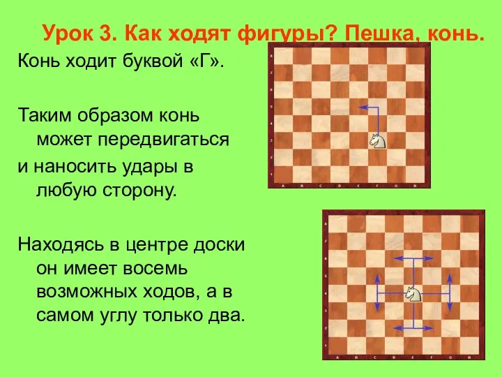 Урок 3. Как ходят фигуры? Пешка, конь. Конь ходит буквой «Г».