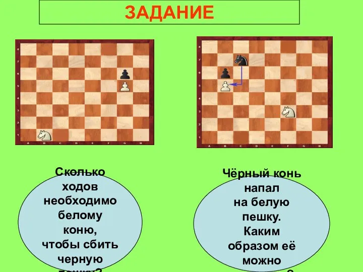 Сколько ходов необходимо белому коню, чтобы сбить черную пешку? Чёрный конь