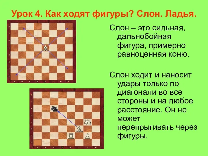 Урок 4. Как ходят фигуры? Слон. Ладья. Слон – это сильная,