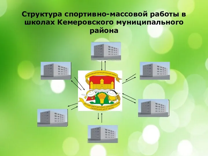 Структура спортивно-массовой работы в школах Кемеровского муниципального района