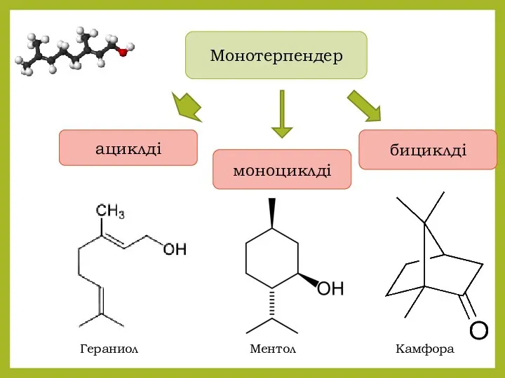 Монотерпендер ациклді моноциклді бициклді Гераниол Ментол Камфора