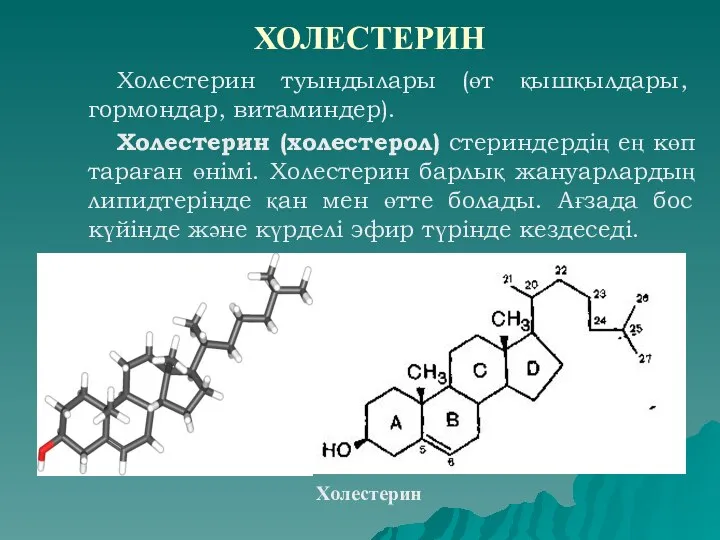 ХОЛЕСТЕРИН Холестерин туындылары (өт қышқылдары, гормондар, витаминдер). Холестерин (холестерол) стериндердің ең