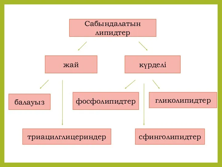 Сабындалатын липидтер жай күрделі балауыз триацилглицериндер фосфолипидтер сфинголипидтер гликолипидтер