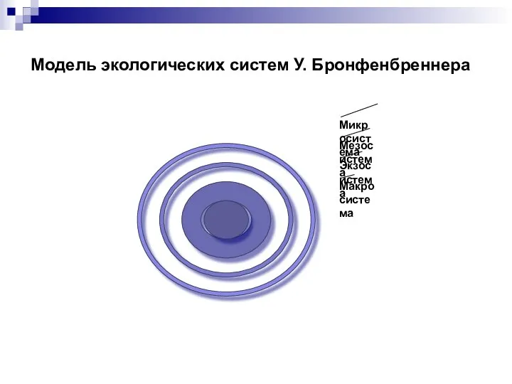 Модель экологических систем У. Бронфенбреннера