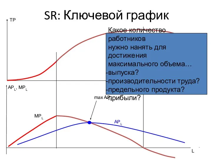 SR: Ключевой график L TP L MPL APL, MPL APL max