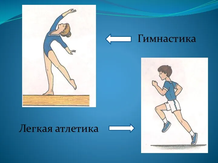 Гимнастика Легкая атлетика