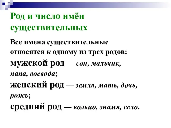 Род и число имён существительных Все имена существительные относятся к одному