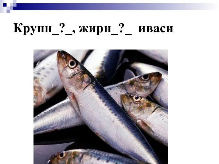 Крупн_?_, жирн_?_ иваси