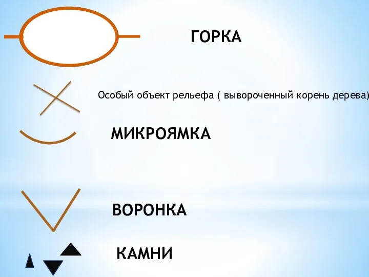 МИКРОЯМКА ВОРОНКА ГОРКА КАМНИ Особый объект рельефа ( вывороченный корень дерева)