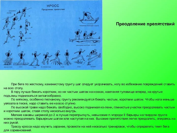 При беге по жесткому, каменистому грунту шаг следует укора­чивать, ногу во